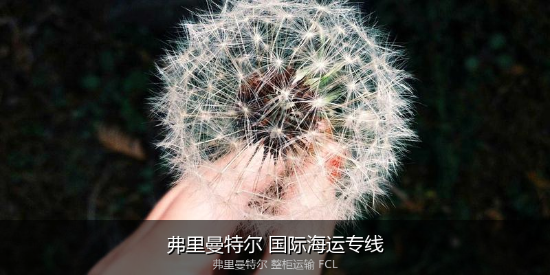 澳大利亚海运清关流程与合规注意事项